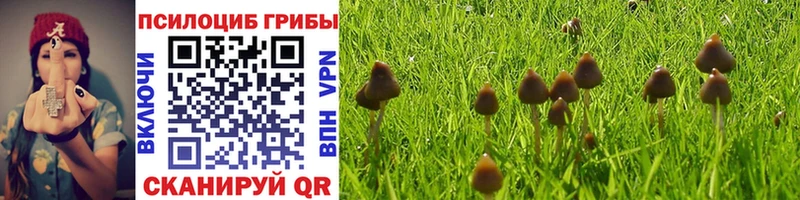 Псилоцибиновые грибы MAGIC MUSHROOMS  Белёв 